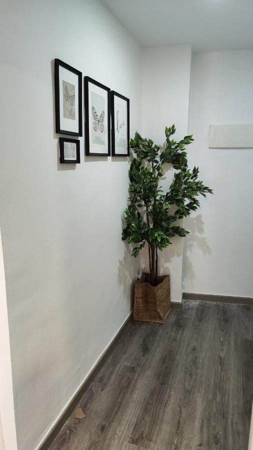 Boutique 2 Apartamento Ave Centro Lleida Kültér fotó